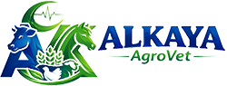 Alkaya Veteriner Kliniği